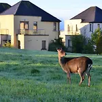 Waterford Castle & Golf 4*