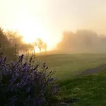 Resort Waterford Castle & Golf