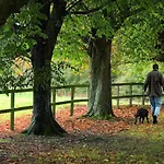 Resort Waterford Castle & Golf 4*