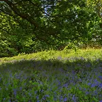 Waterford Castle & Golf Resort 4*