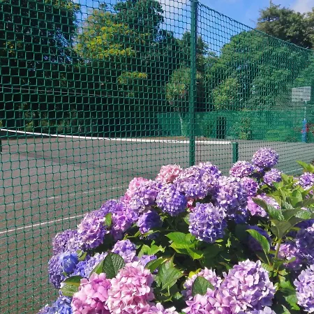 Waterford Castle & Golf אתר נופש Ballinakill (Galway)