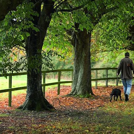 Resort Waterford Castle & Golf 4*