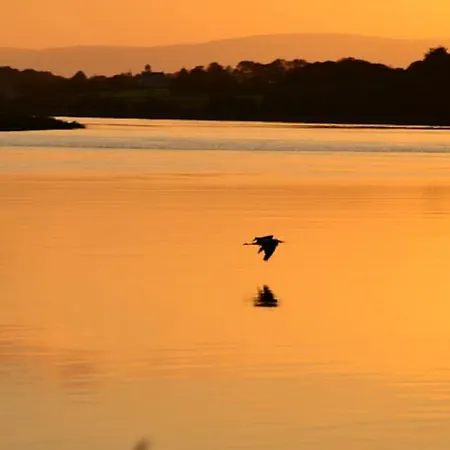 Waterford Castle & Golf אתר נופש Ballinakill (Galway)