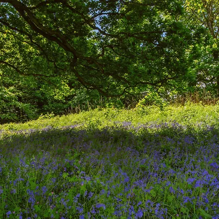 Waterford Castle & Golf אתר נופש 4*