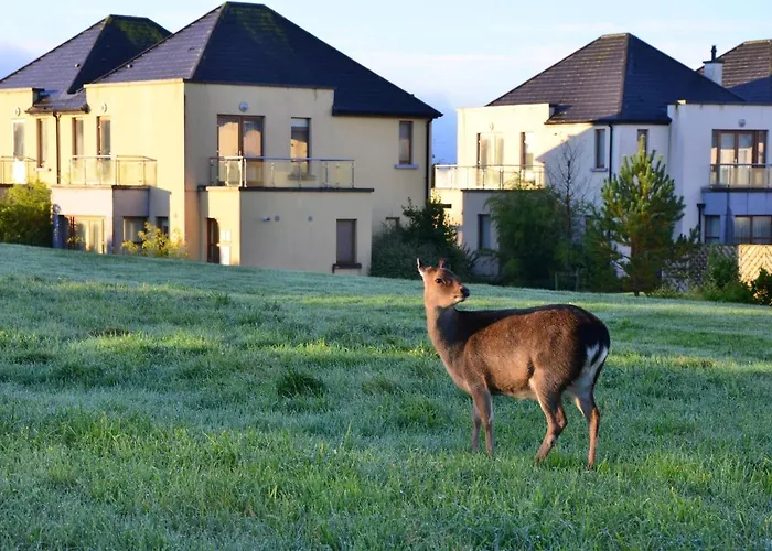 워터포드 캐슬 호텔&골프 4*