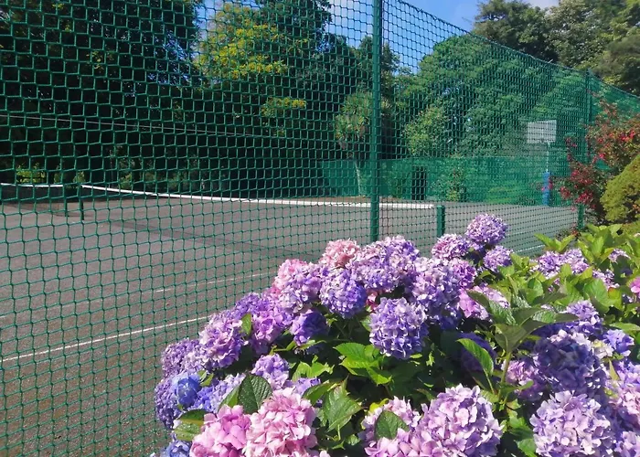 워터포드 캐슬 호텔&골프 리조트 Ballinakill (Galway)