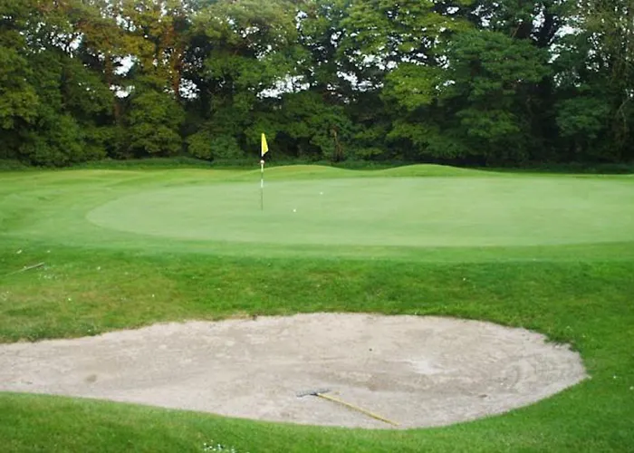 워터포드 캐슬 호텔&골프 리조트 Ballinakill (Galway)