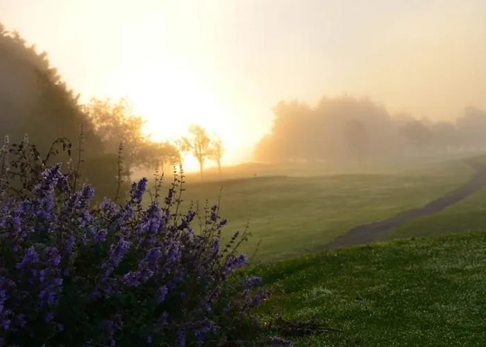 리조트 워터포드 캐슬 호텔&골프