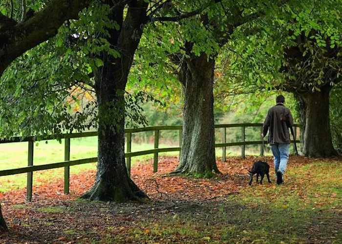 리조트 워터포드 캐슬 호텔&골프 4*