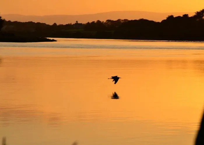 워터포드 캐슬 호텔&골프 리조트 Ballinakill (Galway)