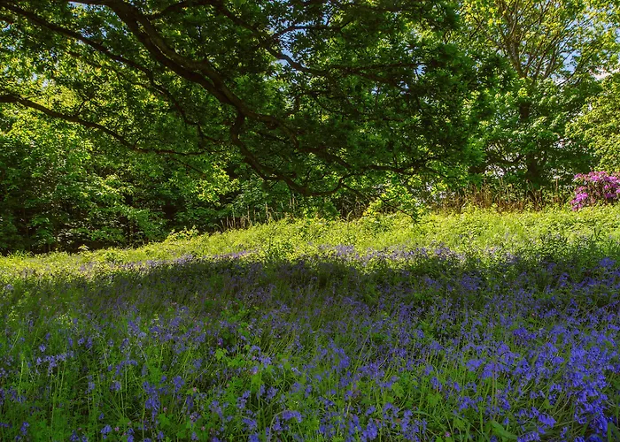 워터포드 캐슬 호텔&골프 리조트 4*